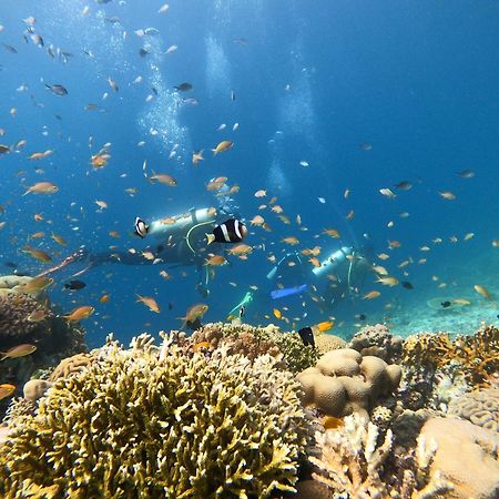 La Pang Resort 라팡리조트 Panglao Zewnętrze zdjęcie